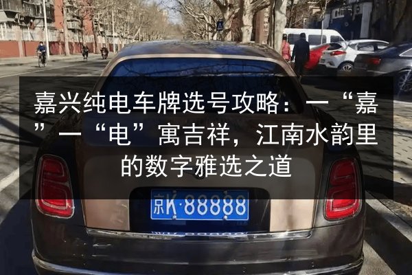 嘉兴纯电车牌选号攻略：一“嘉”一“电”寓吉祥，江南水韵里的数字雅选之道