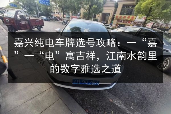 嘉兴纯电车牌选号攻略：一“嘉”一“电”寓吉祥，江南水韵里的数字雅选之道 第2张