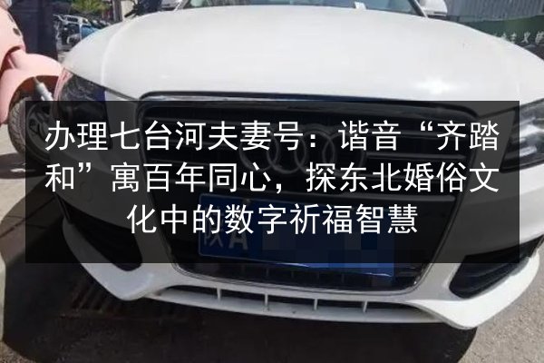 办理七台河夫妻号：谐音“齐踏和”寓百年同心，探东北婚俗文化中的数字祈福智慧 第1张