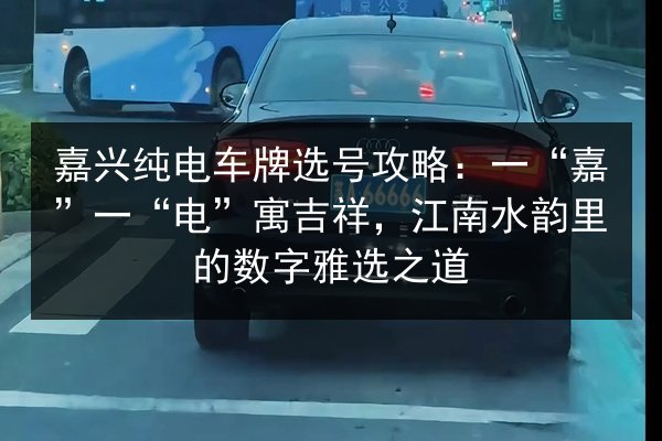 嘉兴纯电车牌选号攻略：一“嘉”一“电”寓吉祥，江南水韵里的数字雅选之道 第3张