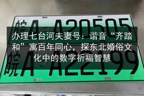 办理七台河夫妻号：谐音“齐踏和”寓百年同心，探东北婚俗文化中的数字祈福智慧 第2张