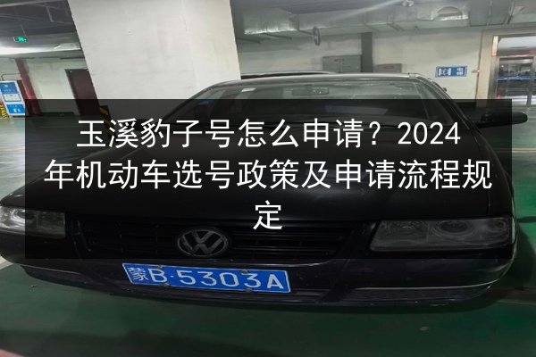 玉溪豹子号怎么申请？2024年机动车选号政策及申请流程规定 第2张