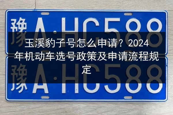玉溪豹子号怎么申请？2024年机动车选号政策及申请流程规定 第3张