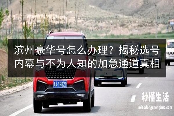 滨州豪华号怎么办理？揭秘选号内幕与不为人知的加急通道真相