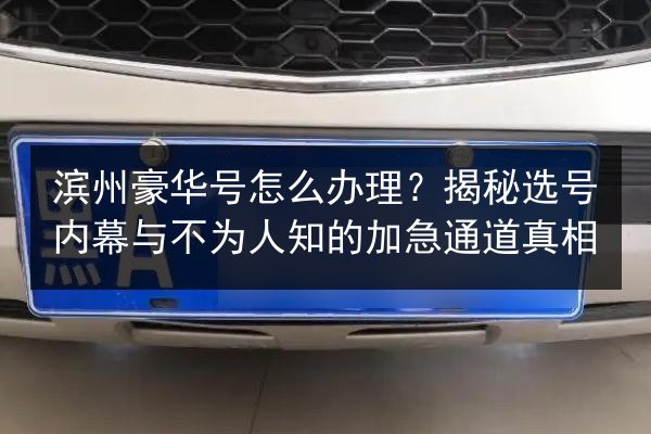 滨州豪华号怎么办理?揭秘选号内幕与不为人知的加急通道真相 第2张 滨州豪华号怎么办理?揭秘选号内幕与不为人知的加急通道真相 第2张