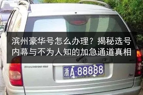 滨州豪华号怎么办理?揭秘选号内幕与不为人知的加急通道真相 第3张 滨州豪华号怎么办理?揭秘选号内幕与不为人知的加急通道真相 第3张