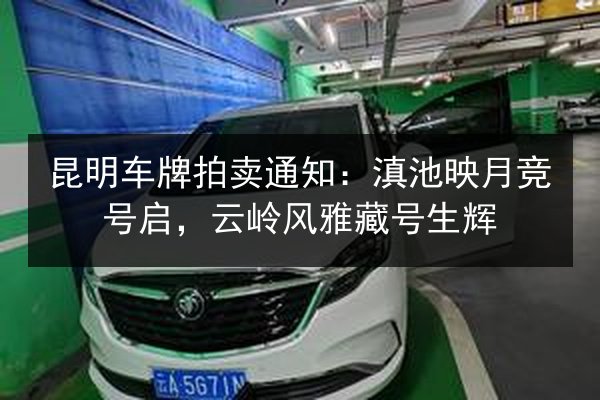 昆明车牌拍卖通知:滇池映月竞号启,云岭风雅藏号生辉 第2张 昆明车牌拍卖通知:滇池映月竞号启,云岭风雅藏号生辉 第2张