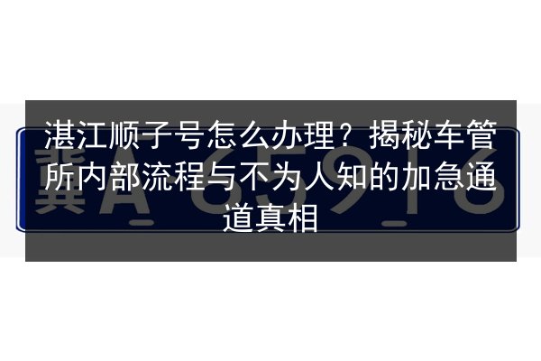 湛江顺子号怎么办理？揭秘车管所内部流程与不为人知的加急通道真相