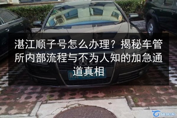 湛江顺子号怎么办理?揭秘车管所内部流程与不为人知的加急通道真相 第2张 湛江顺子号怎么办理?揭秘车管所内部流程与不为人知的加急通道真相 第2张