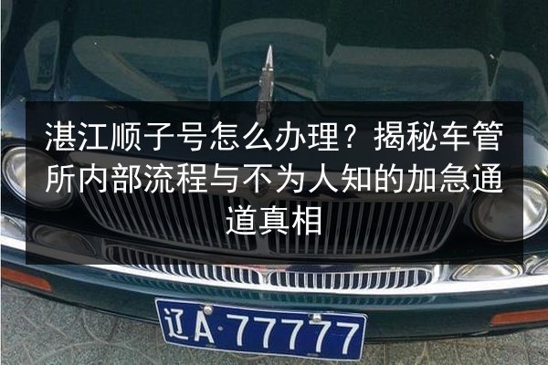 湛江顺子号怎么办理?揭秘车管所内部流程与不为人知的加急通道真相 第3张 湛江顺子号怎么办理?揭秘车管所内部流程与不为人知的加急通道真相 第3张