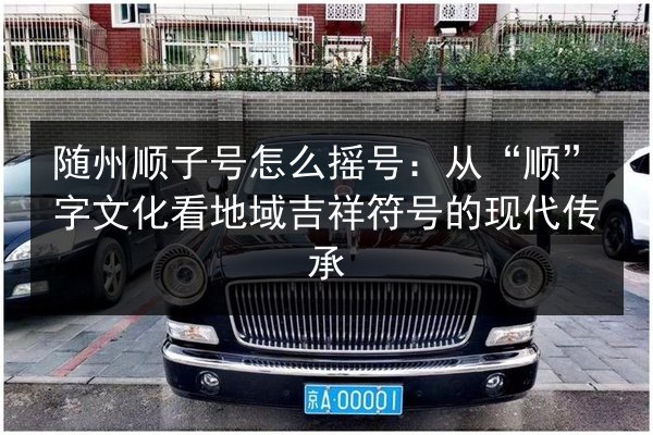 随州顺子号怎么摇号：从“顺”字文化看地域吉祥符号的现代传承
