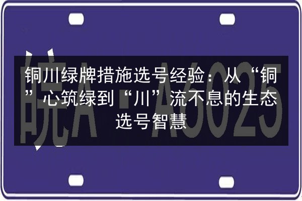 铜川绿牌措施选号经验：从“铜”心筑绿到“川”流不息的生态选号智慧 第3张