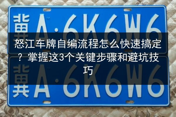 怒江车牌自编流程怎么快速搞定？掌握这3个关键步骤和避坑技巧