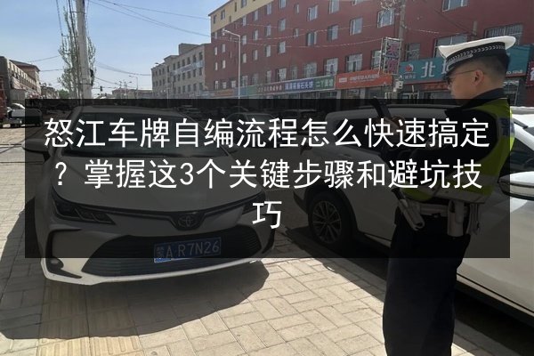 怒江车牌自编流程怎么快速搞定？掌握这3个关键步骤和避坑技巧 第3张
