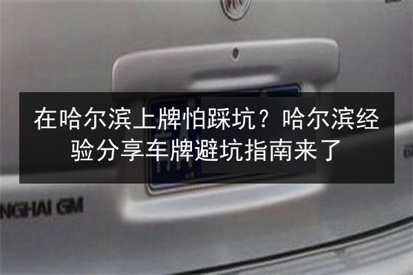 在哈尔滨上牌怕踩坑？哈尔滨经验分享车牌避坑指南来了 第3张