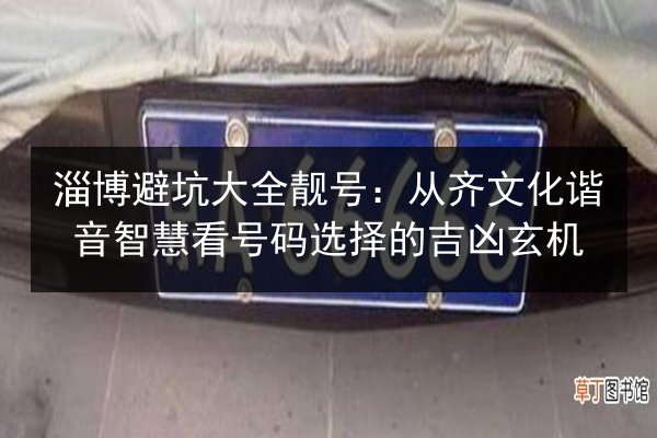 淄博避坑大全靓号：从齐文化谐音智慧看号码选择的吉凶玄机 第2张