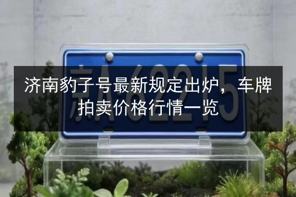济南豹子号最新规定出炉，车牌拍卖价格行情一览