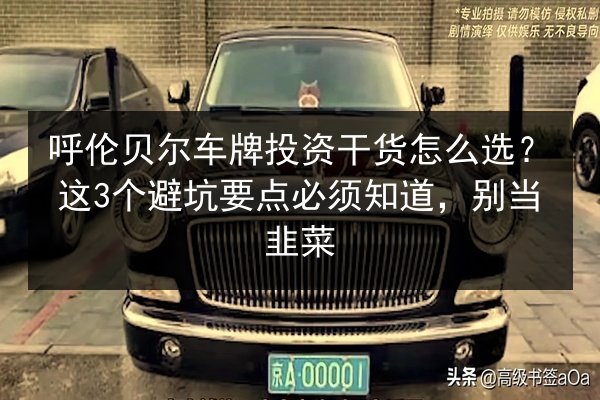 呼伦贝尔车牌投资干货怎么选？这3个避坑要点必须知道，别当韭菜 第2张