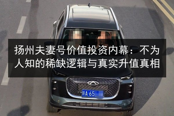 扬州夫妻号价值投资内幕：不为人知的稀缺逻辑与真实升值真相
