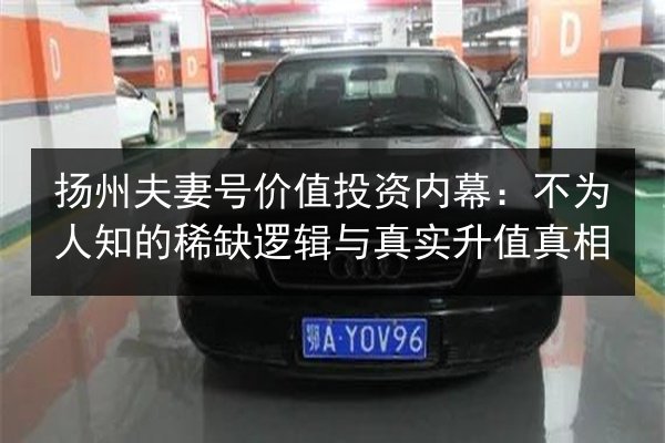 扬州夫妻号价值投资内幕：不为人知的稀缺逻辑与真实升值真相 第2张