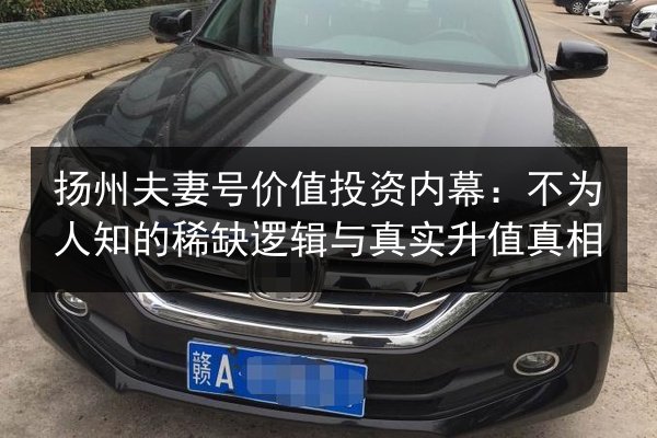 扬州夫妻号价值投资内幕：不为人知的稀缺逻辑与真实升值真相 第3张