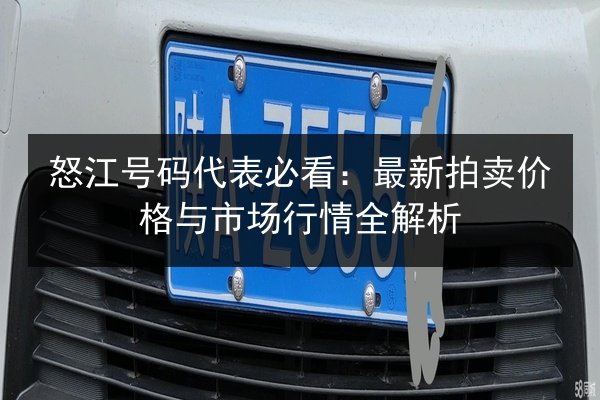 怒江号码代表必看：最新拍卖价格与市场行情全解析
