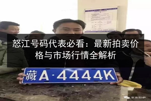怒江号码代表必看:最新拍卖价格与市场行情全解析 第3张 怒江号码代表必看:最新拍卖价格与市场行情全解析 第3张