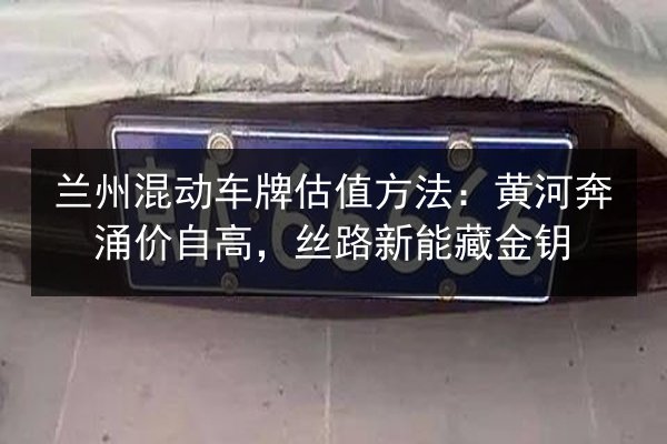 兰州混动车牌估值方法:黄河奔涌价自高,丝路新能藏金钥 第2张 兰州混动车牌估值方法:黄河奔涌价自高,丝路新能藏金钥 第2张