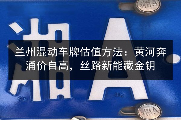 兰州混动车牌估值方法:黄河奔涌价自高,丝路新能藏金钥 第3张 兰州混动车牌估值方法:黄河奔涌价自高,丝路新能藏金钥 第3张