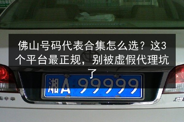 佛山号码代表合集怎么选？这3个平台最正规，别被虚假代理坑了 第2张