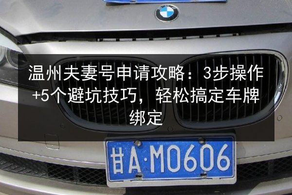 温州夫妻号申请攻略：3步操作+5个避坑技巧，轻松搞定车牌绑定 第2张