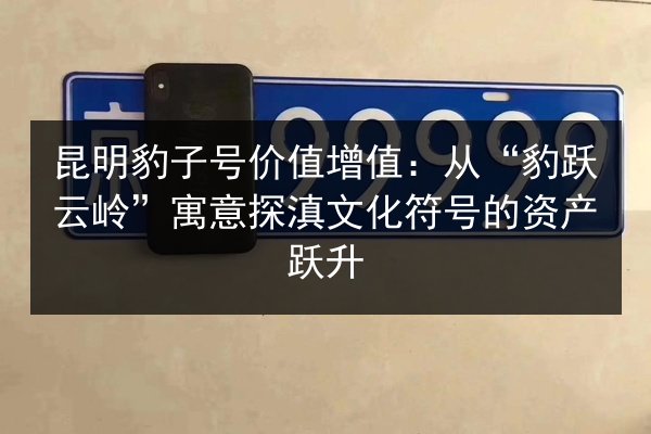 昆明豹子号价值增值：从“豹跃云岭”寓意探滇文化符号的资产跃升