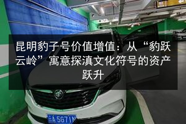 昆明豹子号价值增值:从“豹跃云岭”寓意探滇文化符号的资产跃升 第3张 昆明豹子号价值增值:从“豹跃云岭”寓意探滇文化符号的资产跃升 第3张