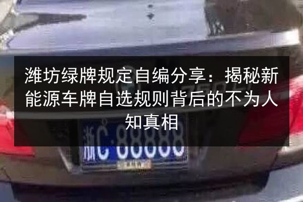 潍坊绿牌规定自编分享:揭秘新能源车牌自选规则背后的不为人知真相 第3张 潍坊绿牌规定自编分享:揭秘新能源车牌自选规则背后的不为人知真相 第3张