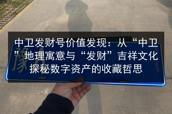 中卫发财号价值发现：从“中卫”地理寓意与“发财”吉祥文化探秘数字资产的收藏哲思 第1张