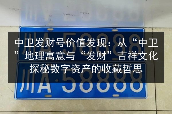 中卫发财号价值发现：从“中卫”地理寓意与“发财”吉祥文化探秘数字资产的收藏哲思 第2张