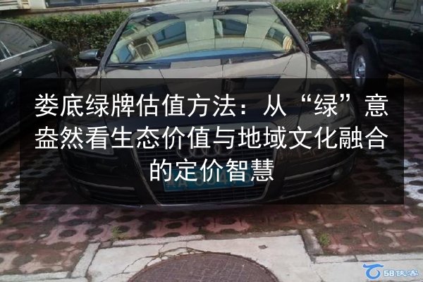 娄底绿牌估值方法:从“绿”意盎然看生态价值与地域文化融合的定价智慧 第3张 娄底绿牌估值方法:从“绿”意盎然看生态价值与地域文化融合的定价智慧 第3张