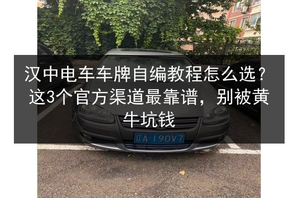 汉中电车车牌自编教程怎么选？这3个官方渠道最靠谱，别被黄牛坑钱