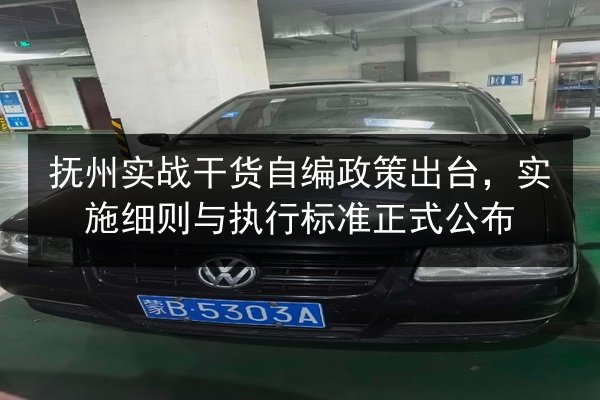 抚州实战干货自编政策出台,实施细则与执行标准正式公布 第3张 抚州实战干货自编政策出台,实施细则与执行标准正式公布 第3张