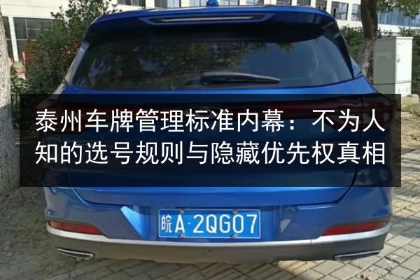 泰州车牌管理标准内幕：不为人知的选号规则与隐藏优先权真相 第3张