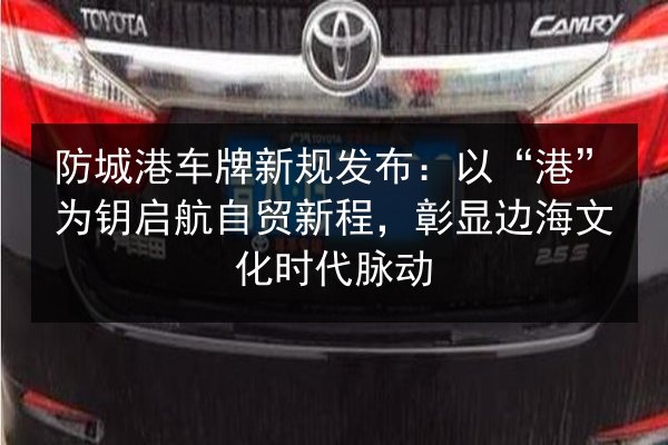防城港车牌新规发布:以“港”为钥启航自贸新程,彰显边海文化时代脉动 第2张 防城港车牌新规发布:以“港”为钥启航自贸新程,彰显边海文化时代脉动 第2张