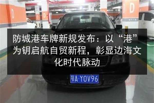 防城港车牌新规发布:以“港”为钥启航自贸新程,彰显边海文化时代脉动 第3张 防城港车牌新规发布:以“港”为钥启航自贸新程,彰显边海文化时代脉动 第3张