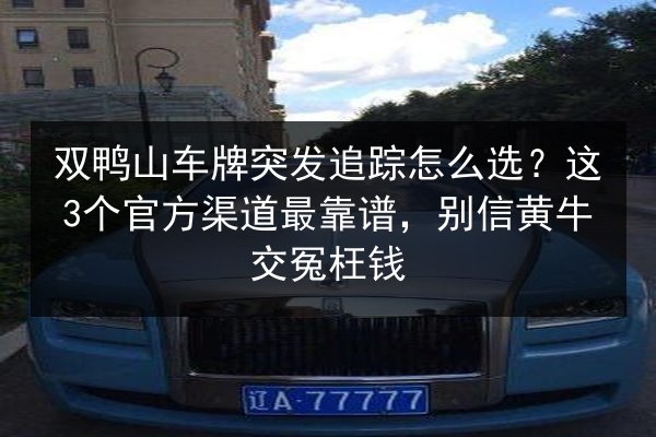 双鸭山车牌突发追踪怎么选？这3个官方渠道最靠谱，别信黄牛交冤枉钱