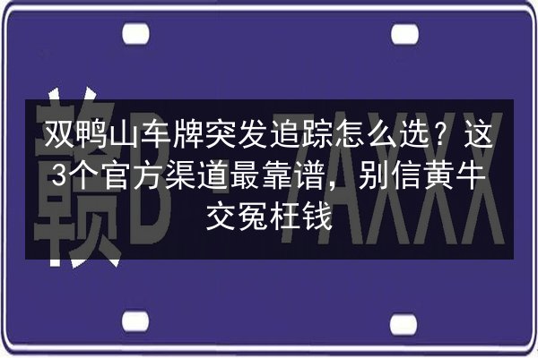 双鸭山车牌突发追踪怎么选？这3个官方渠道最靠谱，别信黄牛交冤枉钱 第3张