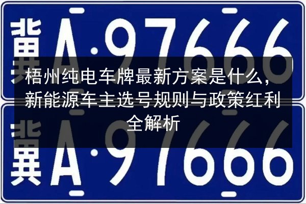 梧州纯电车牌最新方案是什么,新能源车主选号规则与政策红利全解析 第2张 梧州纯电车牌最新方案是什么,新能源车主选号规则与政策红利全解析 第2张