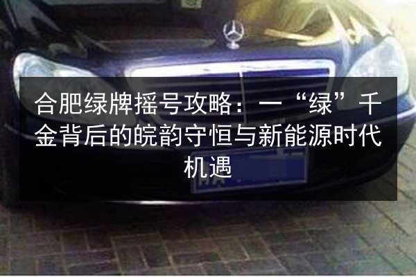 合肥绿牌摇号攻略：一“绿”千金背后的皖韵守恒与新能源时代机遇 第1张