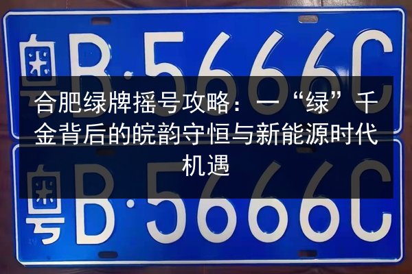 合肥绿牌摇号攻略：一“绿”千金背后的皖韵守恒与新能源时代机遇 第2张