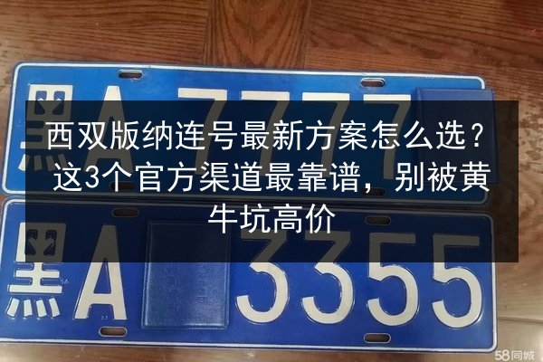 西双版纳连号最新方案怎么选？这3个官方渠道最靠谱，别被黄牛坑高价