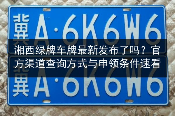 湘西绿牌车牌最新发布了吗？官方渠道查询方式与申领条件速看 第2张