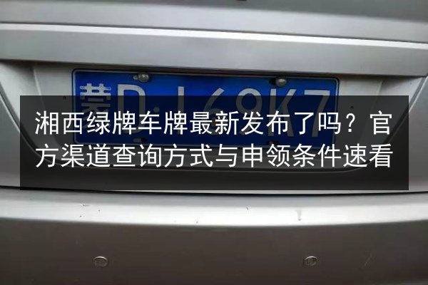 湘西绿牌车牌最新发布了吗？官方渠道查询方式与申领条件速看 第3张